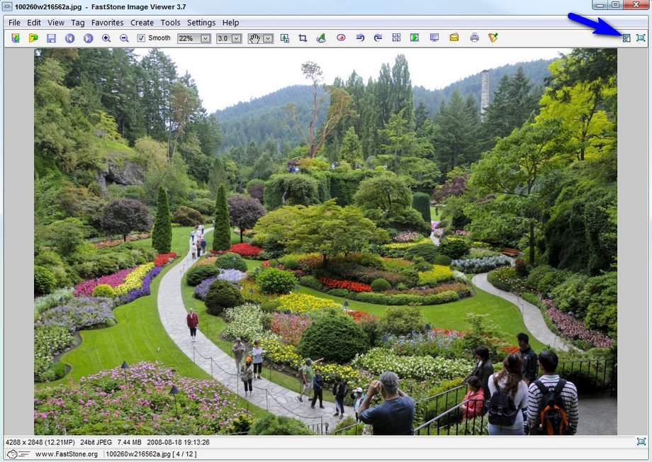 browser view
